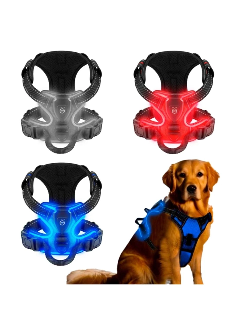 ARNE S LUZ LED AZUL PARA PERRO MEDIANO USB-C TALLA M - 1