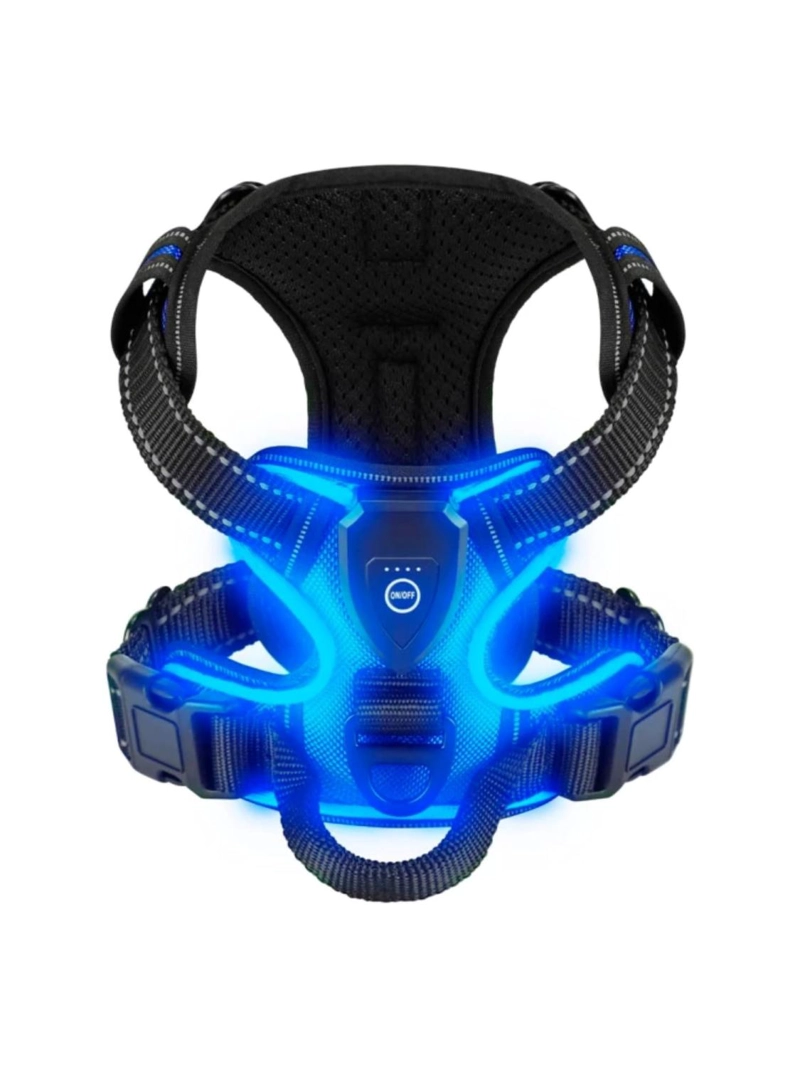 ARNE S LUZ LED AZUL PARA PERRO MEDIANO USB-C TALLA M - 2