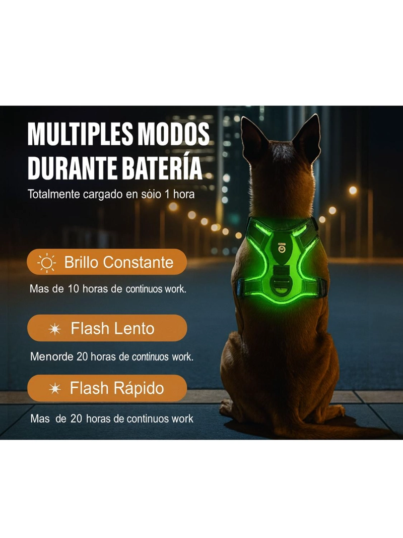 ARNE S LUZ LED AZUL PARA PERRO MEDIANO USB-C TALLA M - 3