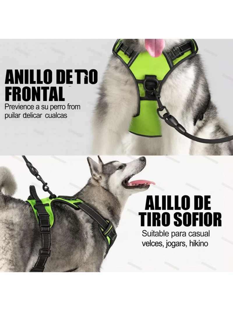 ARNE S LUZ LED AZUL PARA PERRO MEDIANO USB-C TALLA M - 5