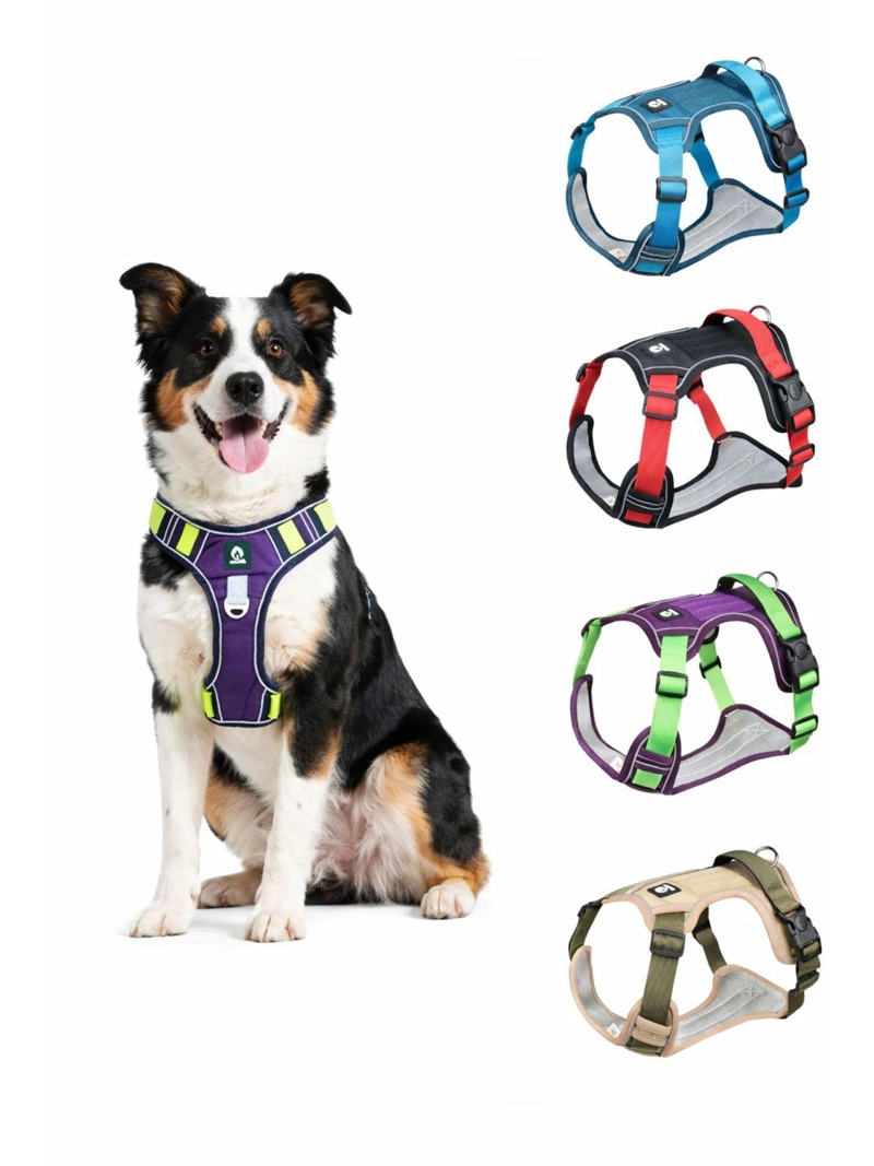 ARNE S REFLECTANTE ANTITIRONES ANTIASFIXIA PARA PERRO TALLA M - 2