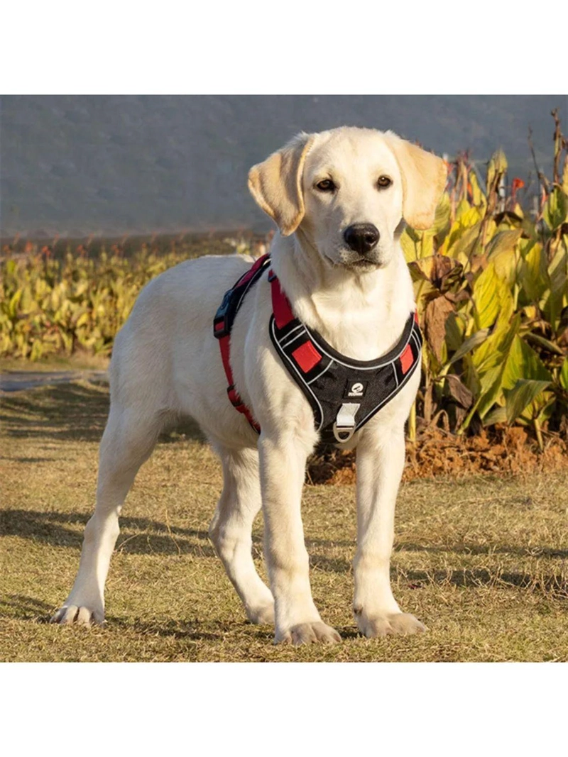 ARNE S REFLECTANTE ANTITIRONES ANTIASFIXIA PARA PERRO TALLA L - 6