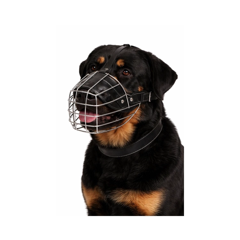 BOZAL PERRO ACERO Y CUERO TALLA XXL (4) PERROS 59 A 70 CM - 1