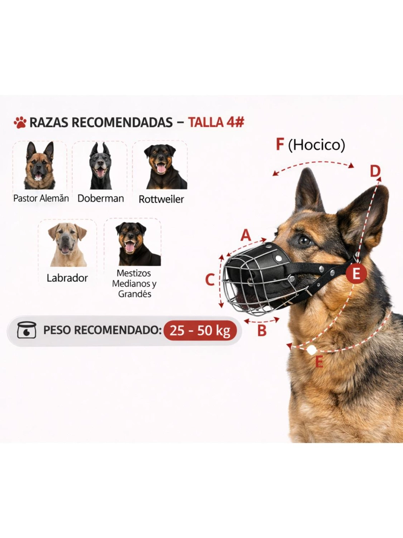 BOZAL PERRO ACERO Y CUERO TALLA XXL (4) PERROS 59 A 70 CM - 2
