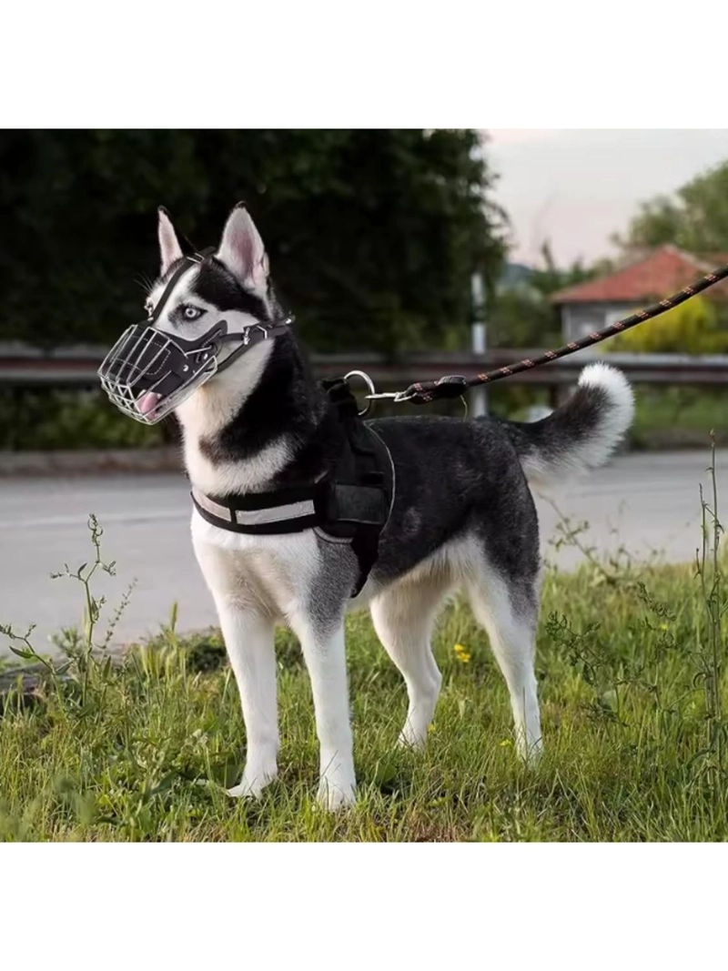 BOZAL PERRO ACERO Y CUERO TALLA L (2) PERROS 50 A 70 CM - 7