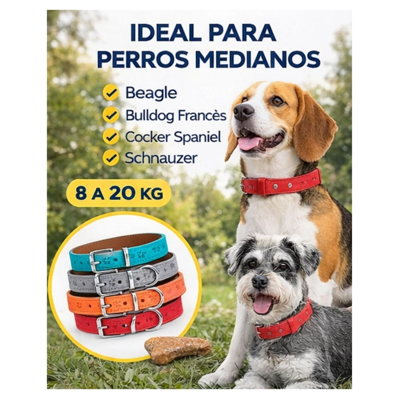 COLLAR PERRO ECO CUERO 42 CM DISEÑO PATITAS AJUSTABLE - 3