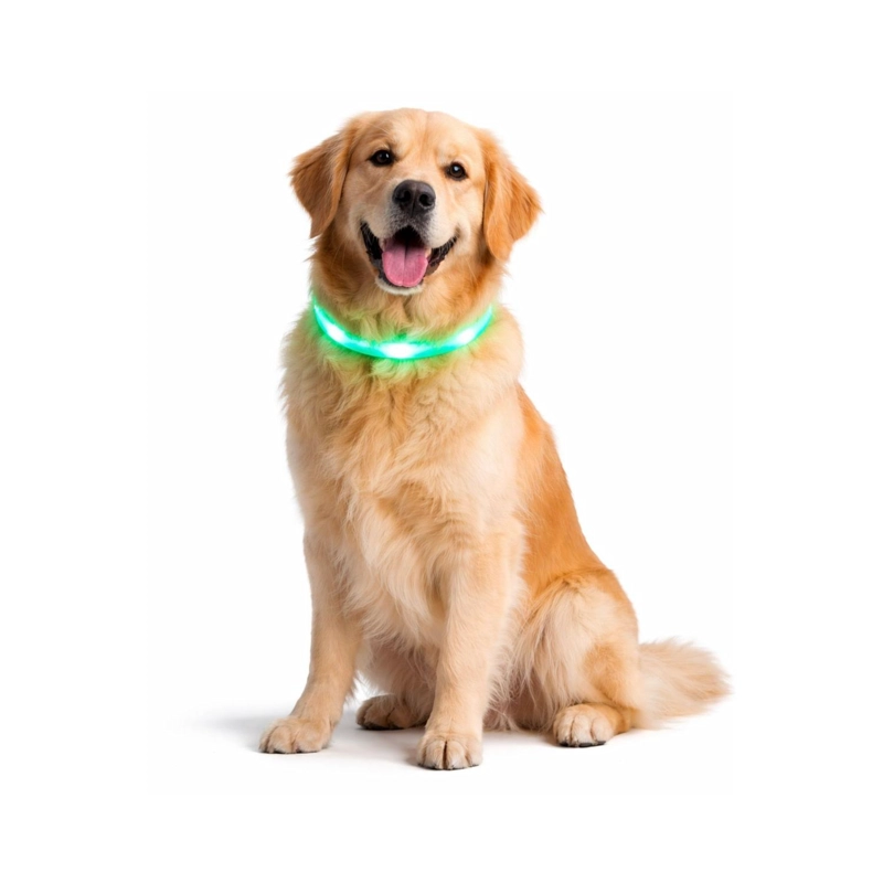 COLLAR LED PERRO USB RECARGABLE 51 CM 10-25 KG - 1