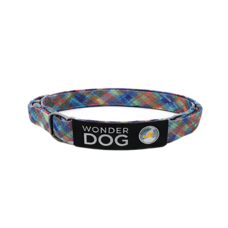 COLLAR PERRO NYLON AJUSTABLE XS 25-35 CM WONDER DOG - 2