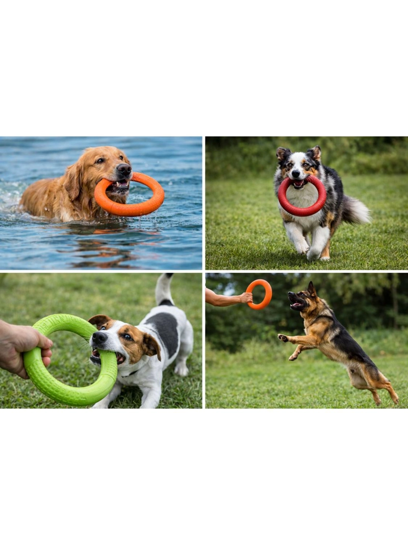 ANILLO PARA MORDER PERROS EVA FLOTANTE 27.5 CM - 5