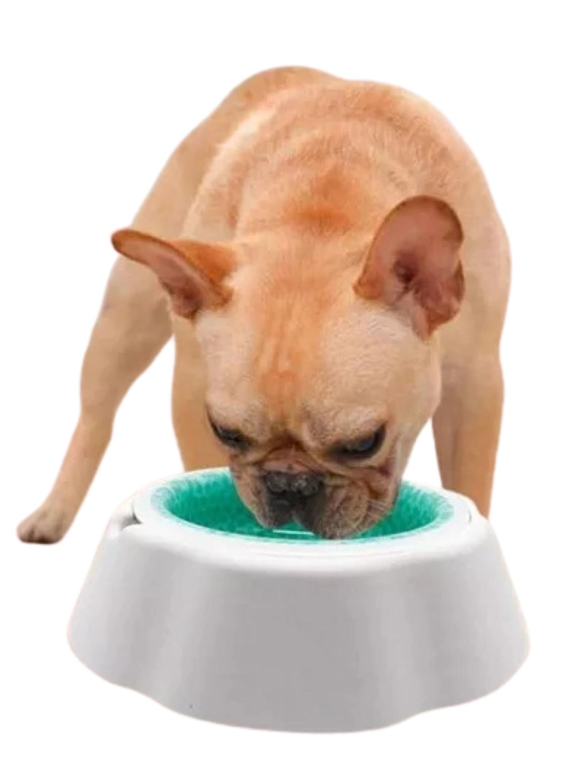 PLATO BEBEDERO COMEDERO REFRESCANTE MASCOTAS 21 CM - 1