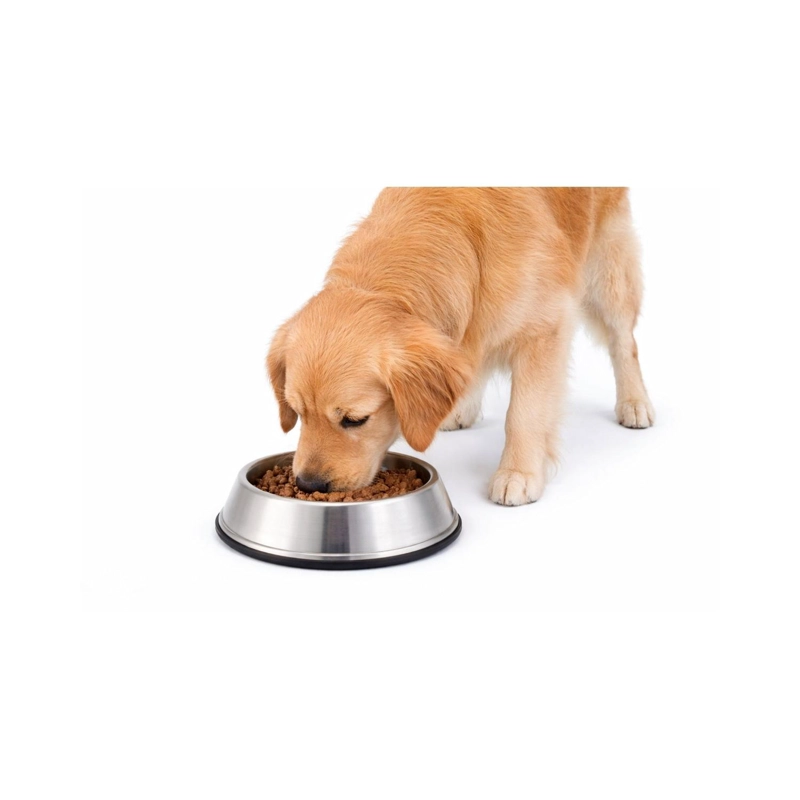 PLATO ANTIHORMIGAS ACERO INOXIDABLE MASCOTAS L 0.9 L - 1