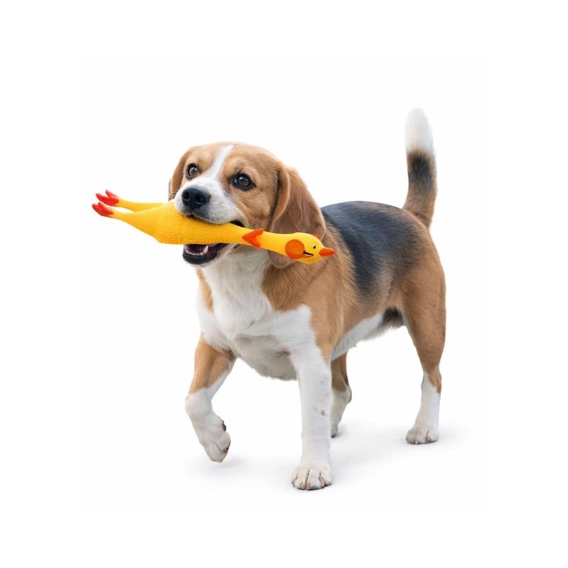JUGUETE PERRO POLLO CHILLON L 41 CM RESISTENTE - 1