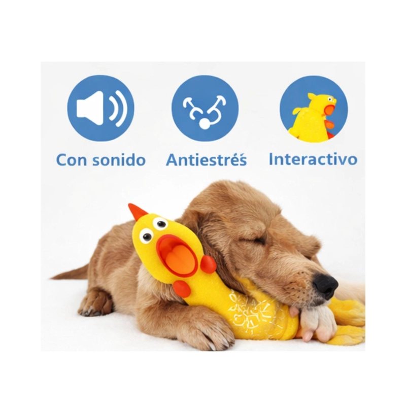 JUGUETE PERRO POLLO CHILLON L 41 CM RESISTENTE - 2
