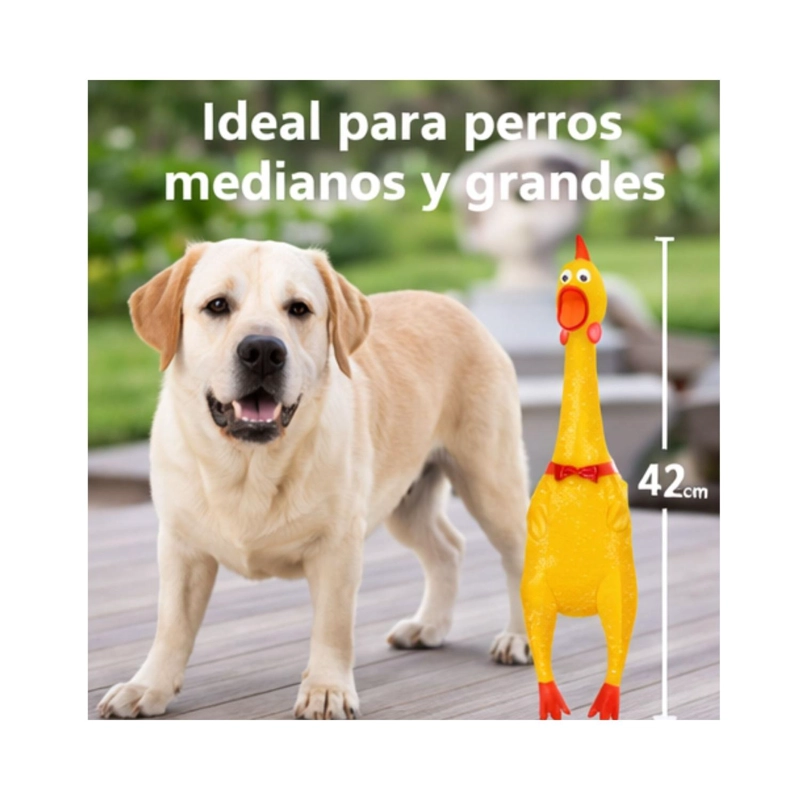 JUGUETE PERRO POLLO CHILLON L 41 CM RESISTENTE - 3