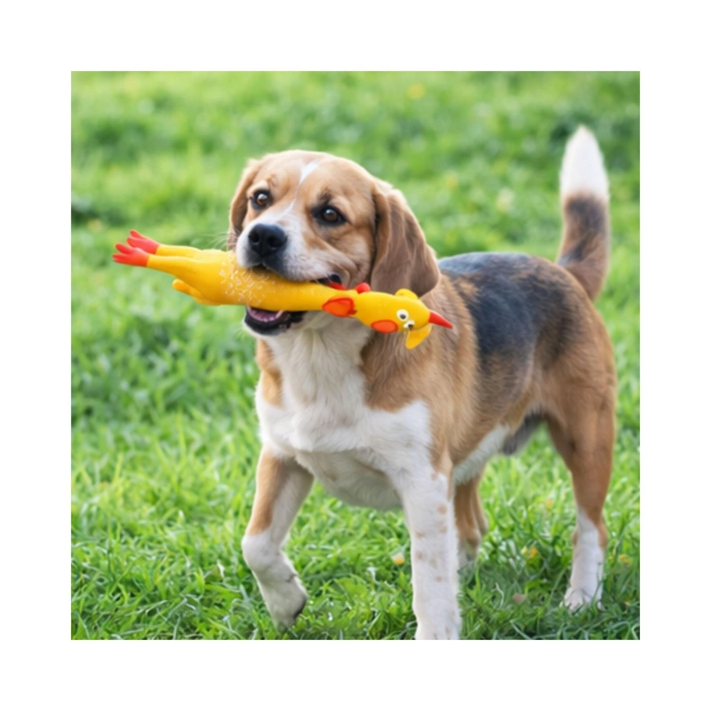 JUGUETE PERRO POLLO CHILLON L 41 CM RESISTENTE - 4