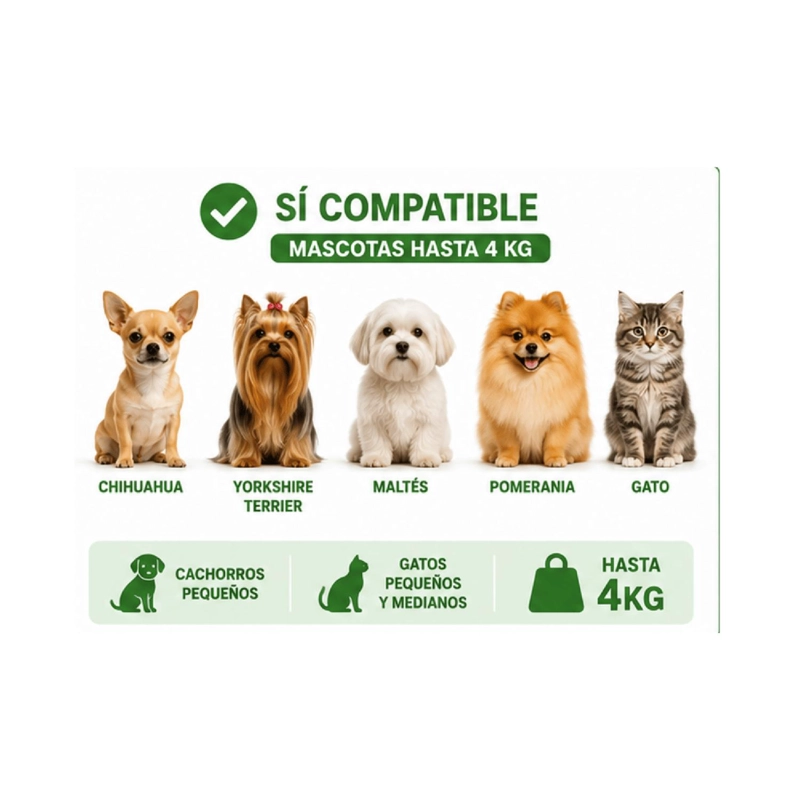 JAULA TRANSPORTADORA MASCOTAS PEQUEÑAS HASTA 4 KG 46 CM - 5