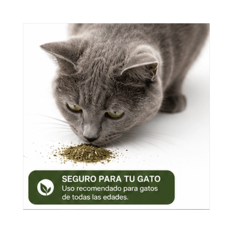 HIERBA GATERA CATNIP WONDER CAT TUBO 40ML - 6