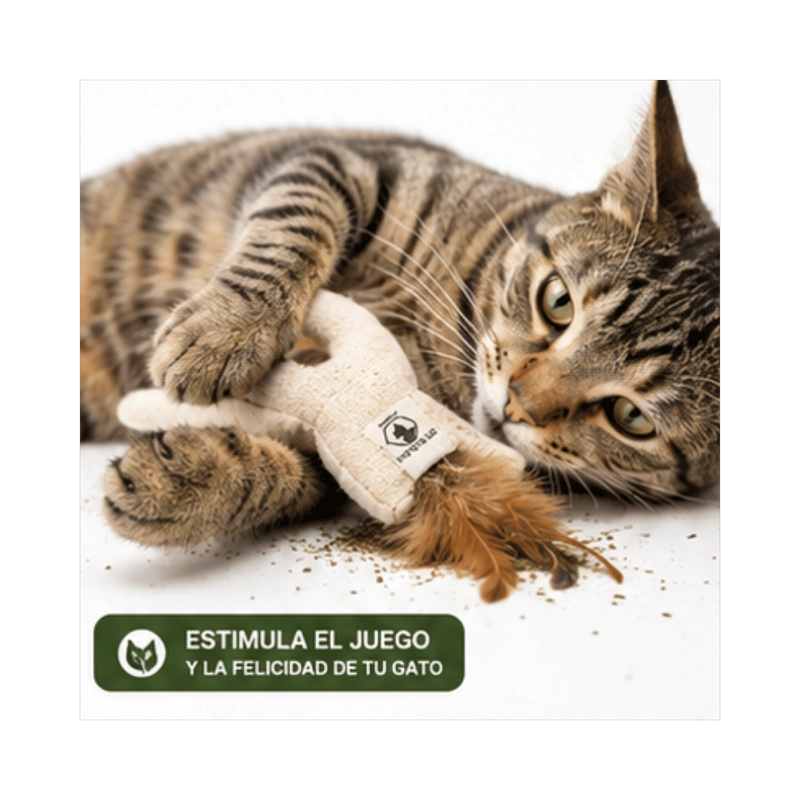 HIERBA GATERA CATNIP WONDER CAT TUBO 40ML - 7