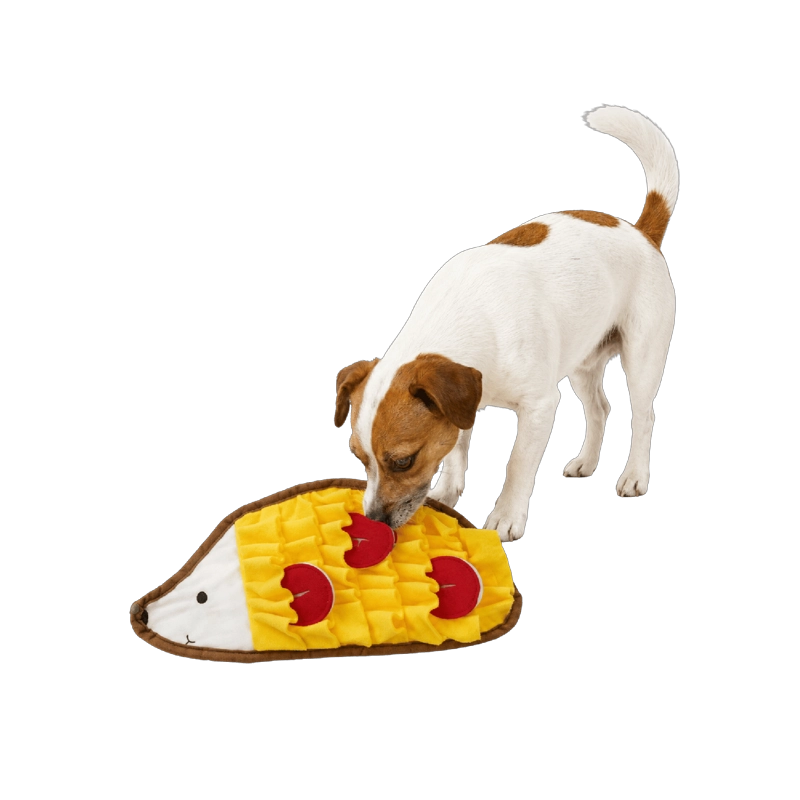 ALFOMBRA OLFATIVA ERIZO PARA PERRO 32X16 CM - 1