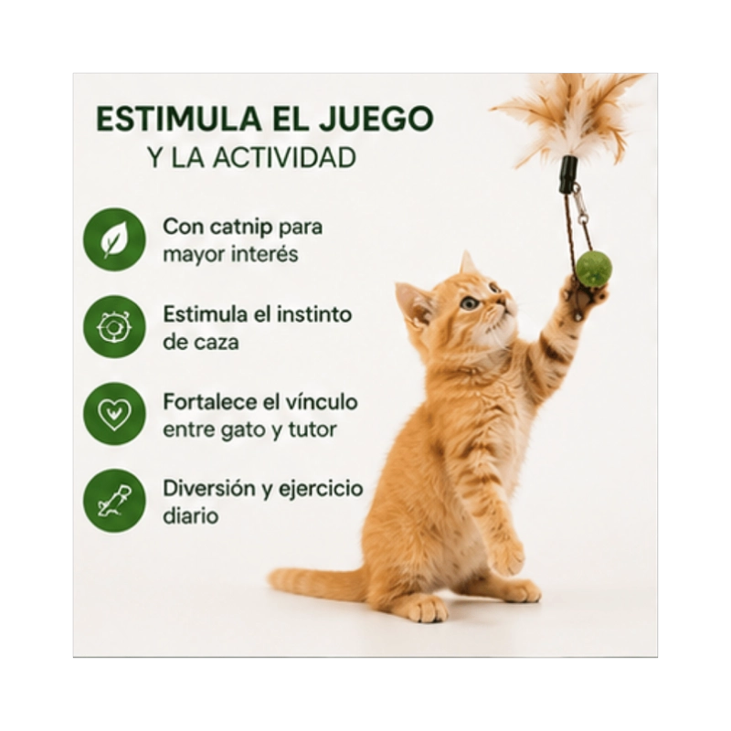 VARILLA PLUMA Y BOLA CATNIP PARA GATO 50 CM - 2