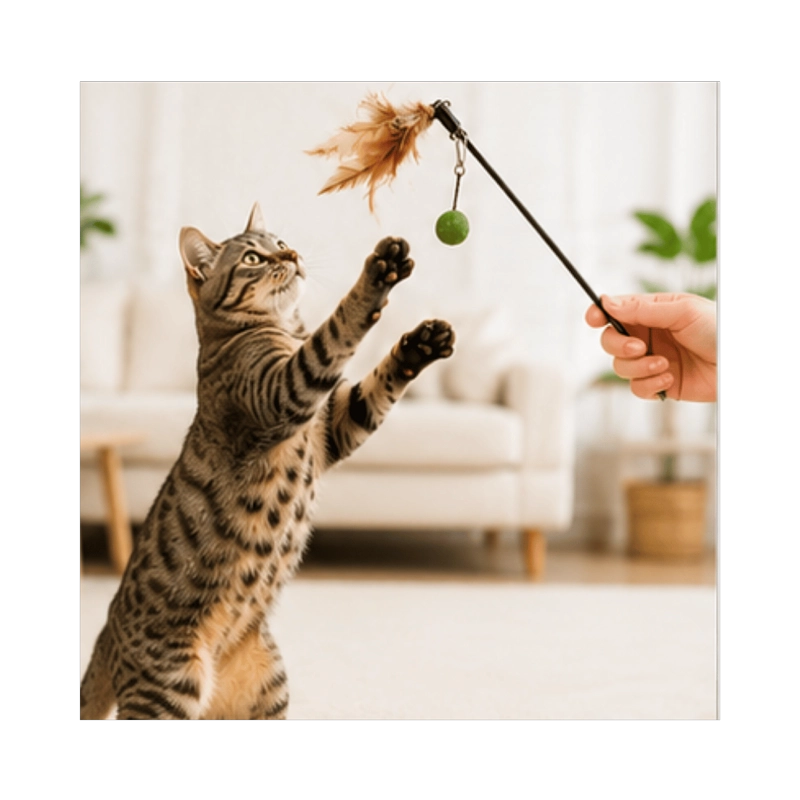 VARILLA PLUMA Y BOLA CATNIP PARA GATO 50 CM - 4