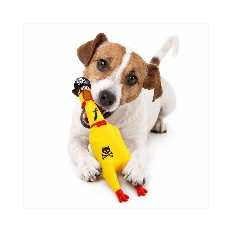 POLLO CHILLON PIRATA JUGUETE PERRO CON SONIDO 30X7 - 1