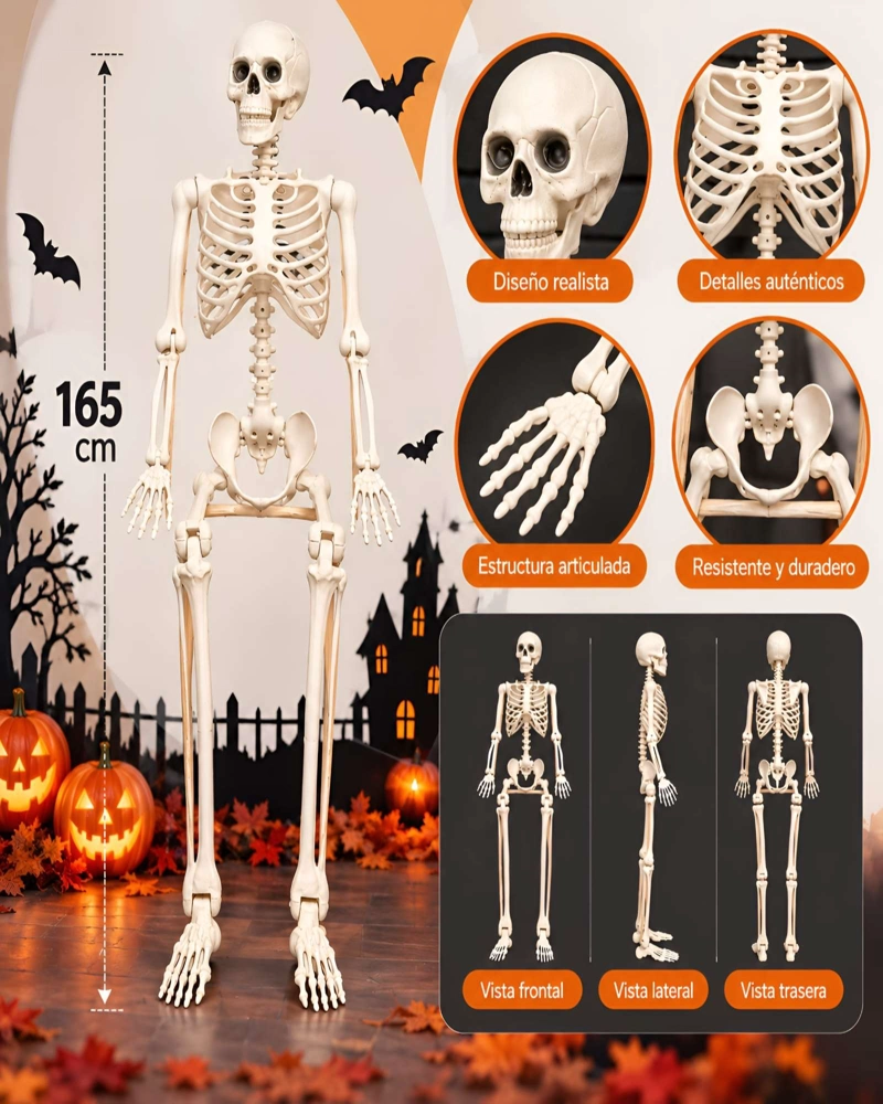 ESQUELETO PARA HALLOWEEN DE 165 CM TAMAÑO REAL ARTICULADO - 3