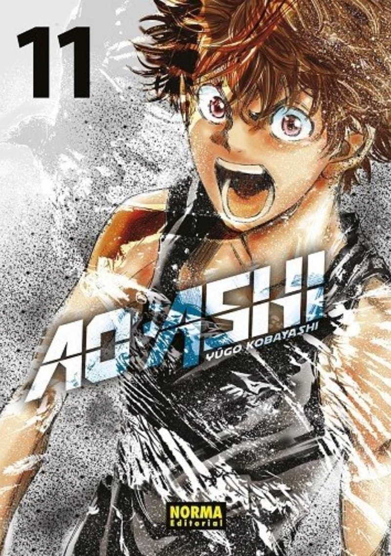 AO ASHI 11 - EDITORIAL NORMA - 1