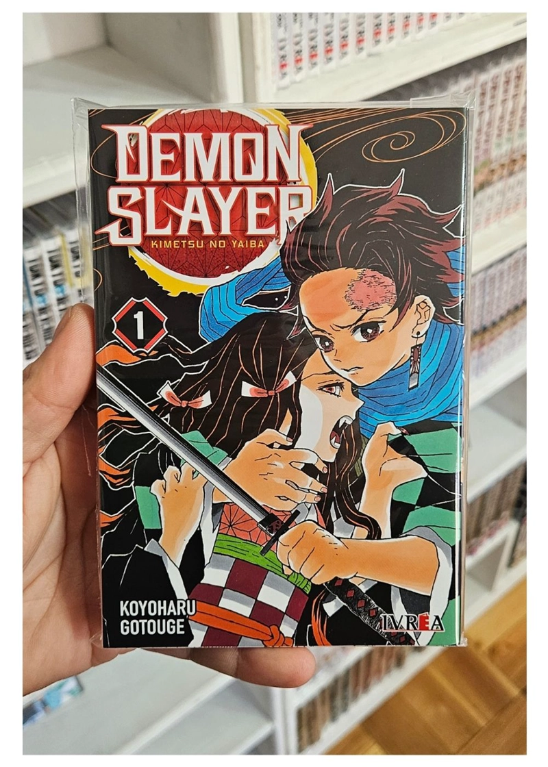 DEMON SLAYER - KIMETSU NO YAIBA 01 - 2