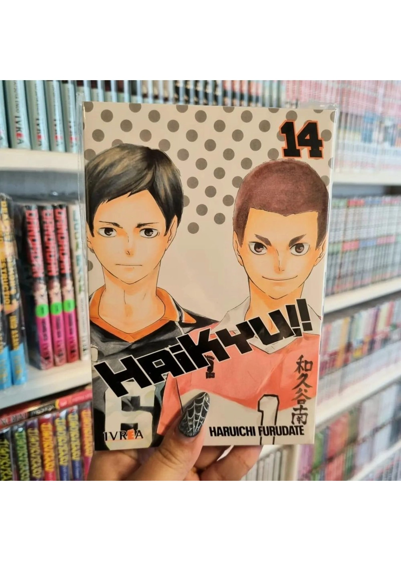 HAIKYUU 14 - IVREA ARGENTINA - 2