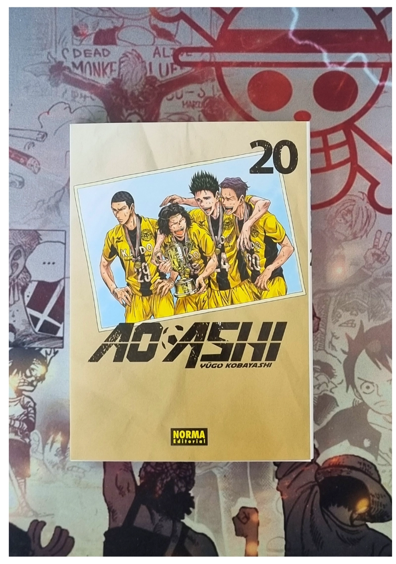 AO ASHI 20 – EDITORIAL NORMA - 2
