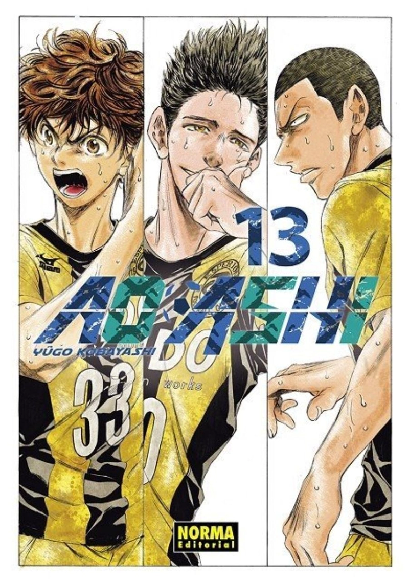 AO ASHI 13 - EDITORIAL NORMA - 1