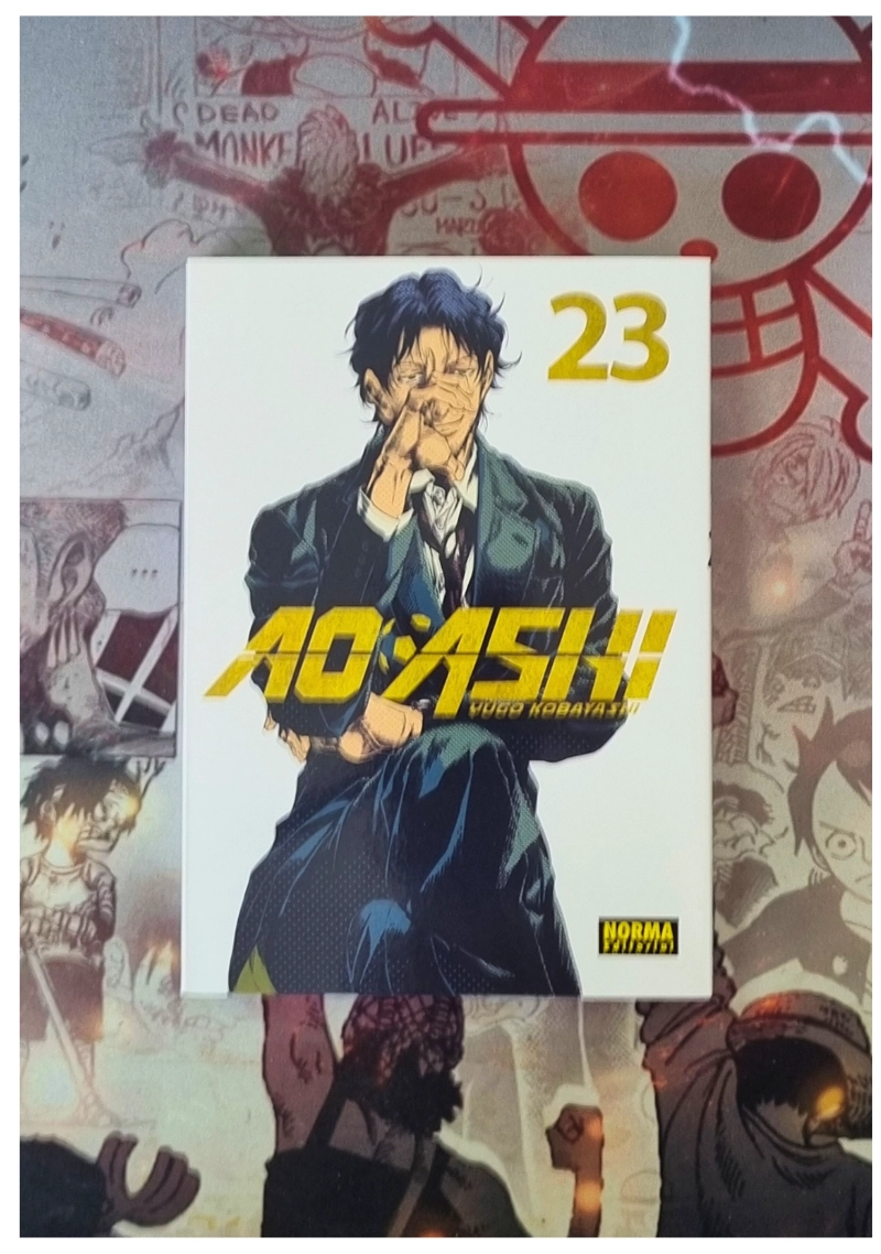 AO ASHI 23 – EDITORIAL NORMA - 2