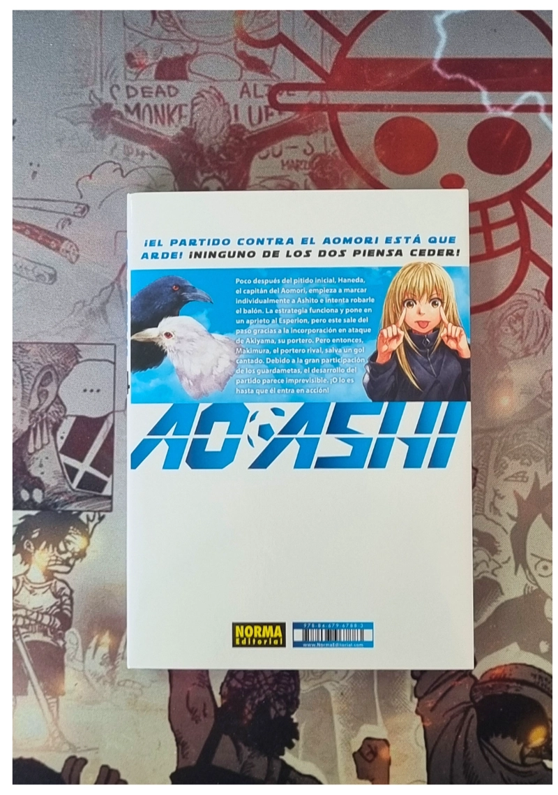AO ASHI 24 – EDITORIAL NORMA - 3