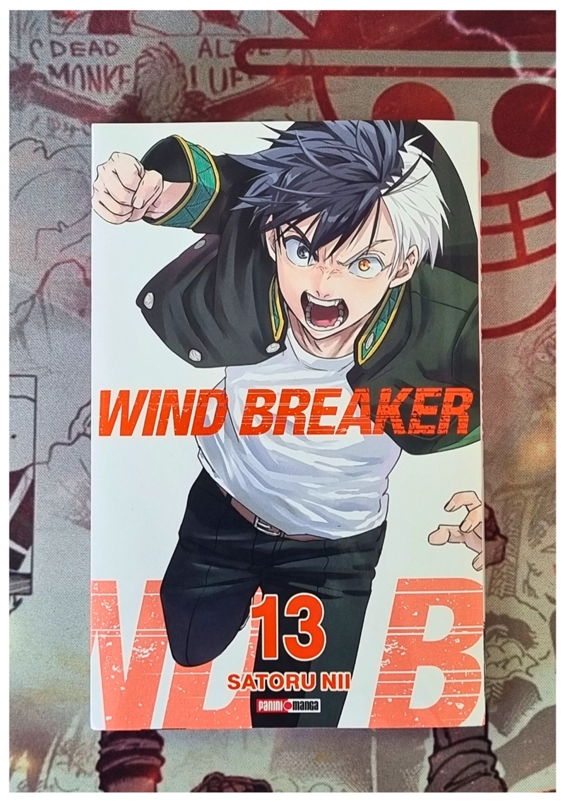 WIND BREAKER 13 - PANINI ARGENTINA - 2