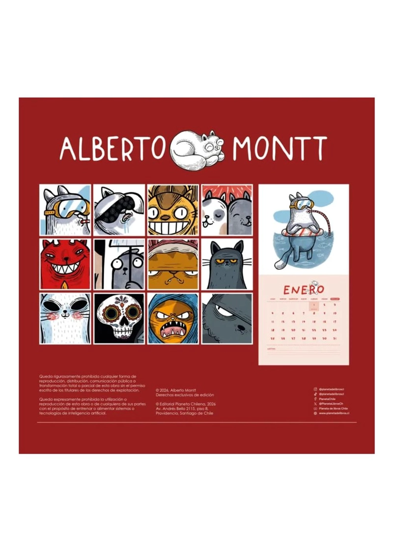 CALENDARIO ALBERTO MONTT - 3