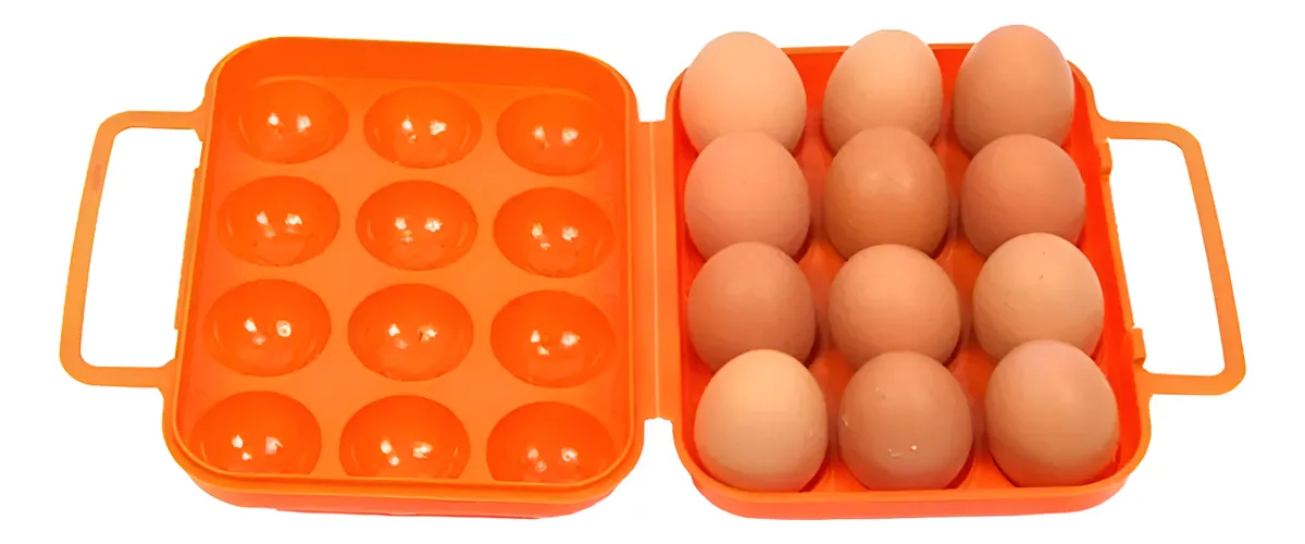 ORGANIZADOR DE HUEVOS - 1