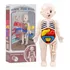 JUGUETE ANATOMICO CUERPO HUMANO - 1