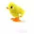 POLLITO DE JUGUETE DE CUERDA - 1