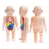 MUÑECO ANATOMIA PARA NIÑOS - 1