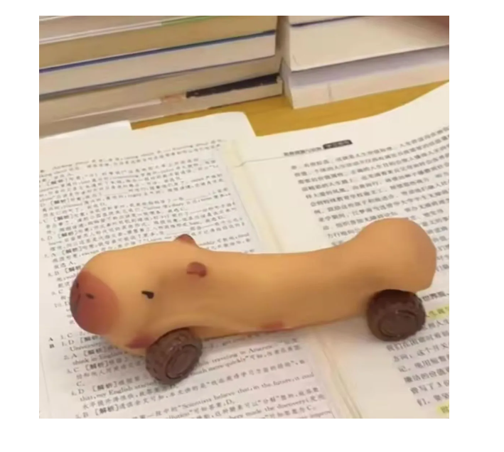 CAPIBARA CARRITO SQUISHY JUGUETE ELASTICO - 2