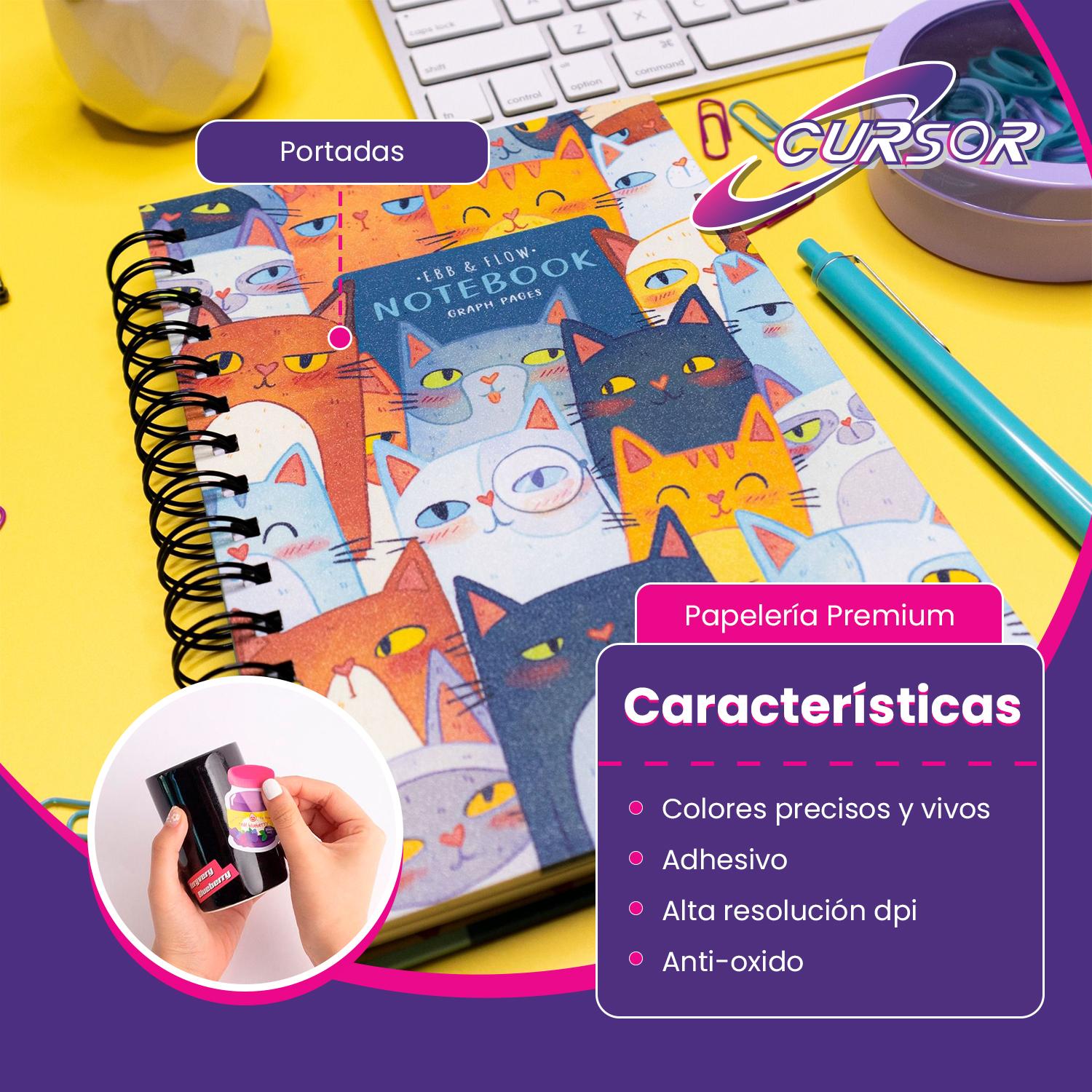 PAPEL GLOSSY ADHESIVO 135G A4 CURSOR PACK 300 HOJAS - 6