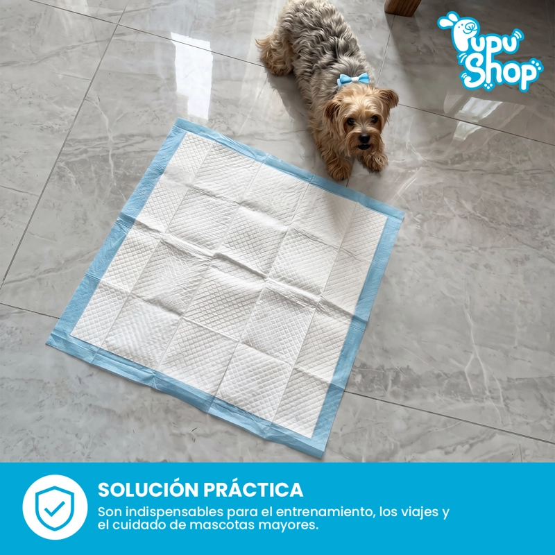 120 PAÑALES TIPO SABANILLAS MASCOTAS PERRO GATO 60X60 CM PUPU SHOP - 7