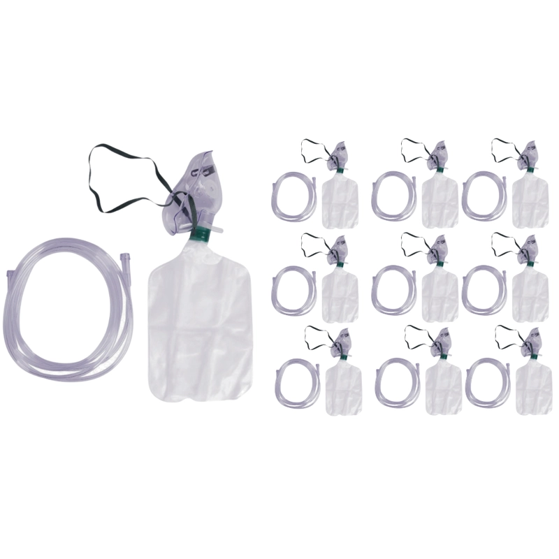 PACK 10 MASCARILLAS ALTA CONCENTRACIÓN CRANBERRY - PEDIATRICA - 1