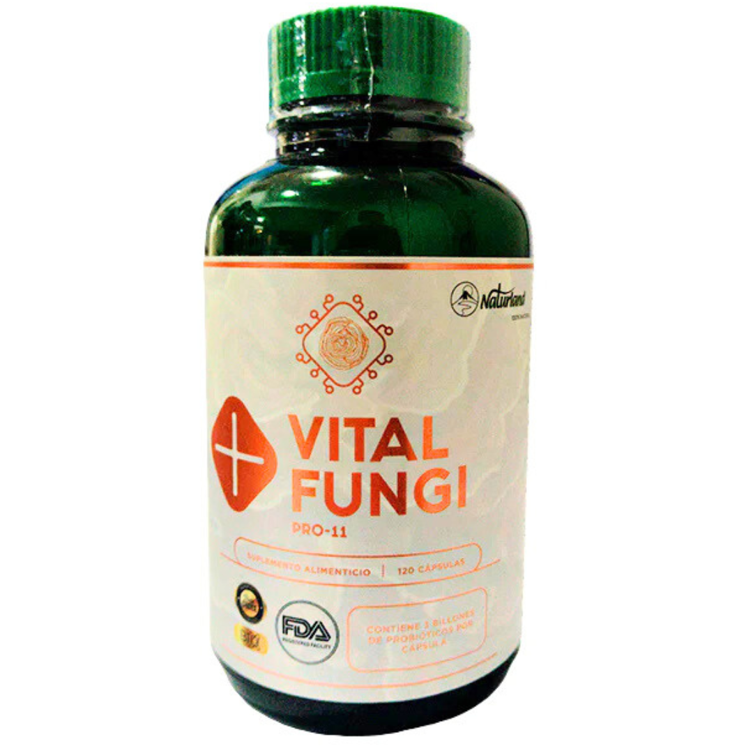 VITAL FUNGI PROB 11 120 CÁPSULAS NATURLAND - 1