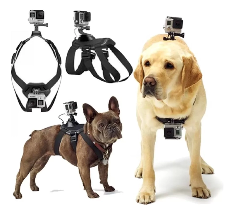 ARNE S DE PERRO DOBLE COMPATIBLE GOPRO + 2 MONTURAS ADICIONAL - 1