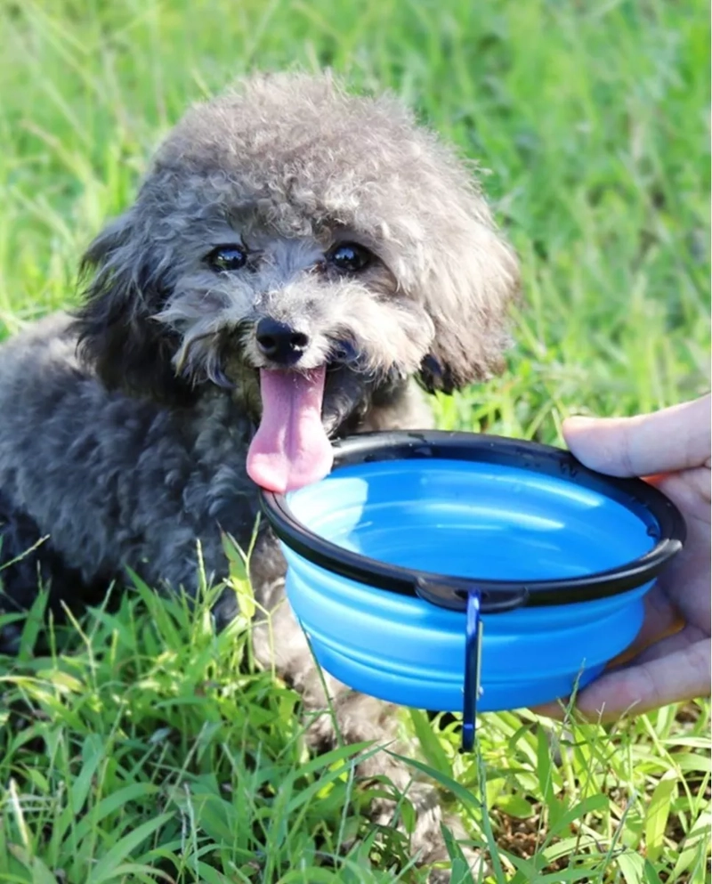 PLATO PLEGABLE MASCOTAS PORTÁTIL AGUA COMIDA 12 CM COLORES - 2