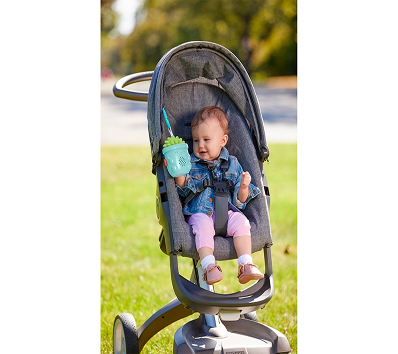 FISHER PRICE SUCULENTA MUSICA RELAJANTE PARA BEBE GRV07 - 6