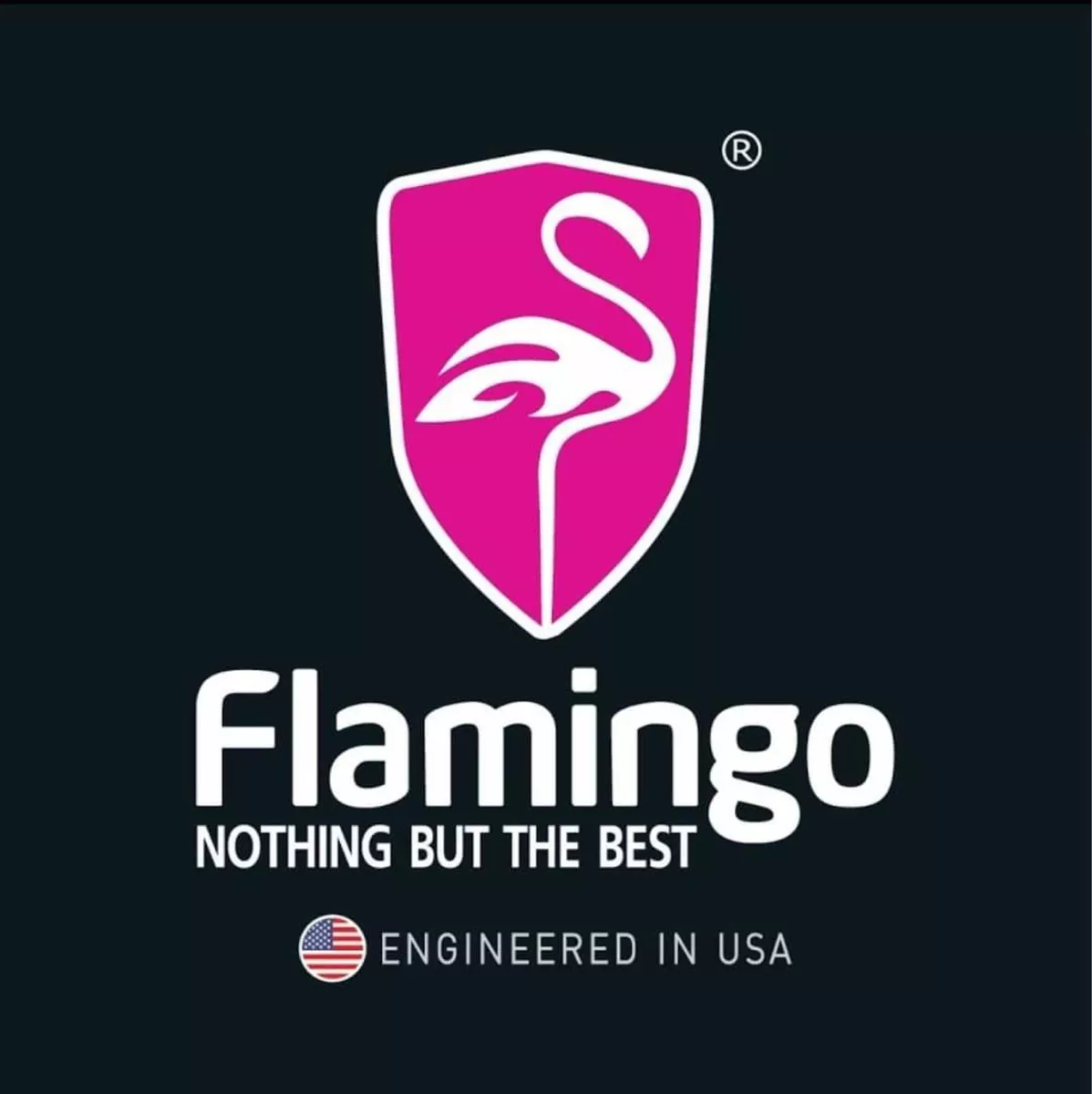 SHAMPOO DE AUTOS CONCENTRADO 500ML FLAMINGOCHILE - 5