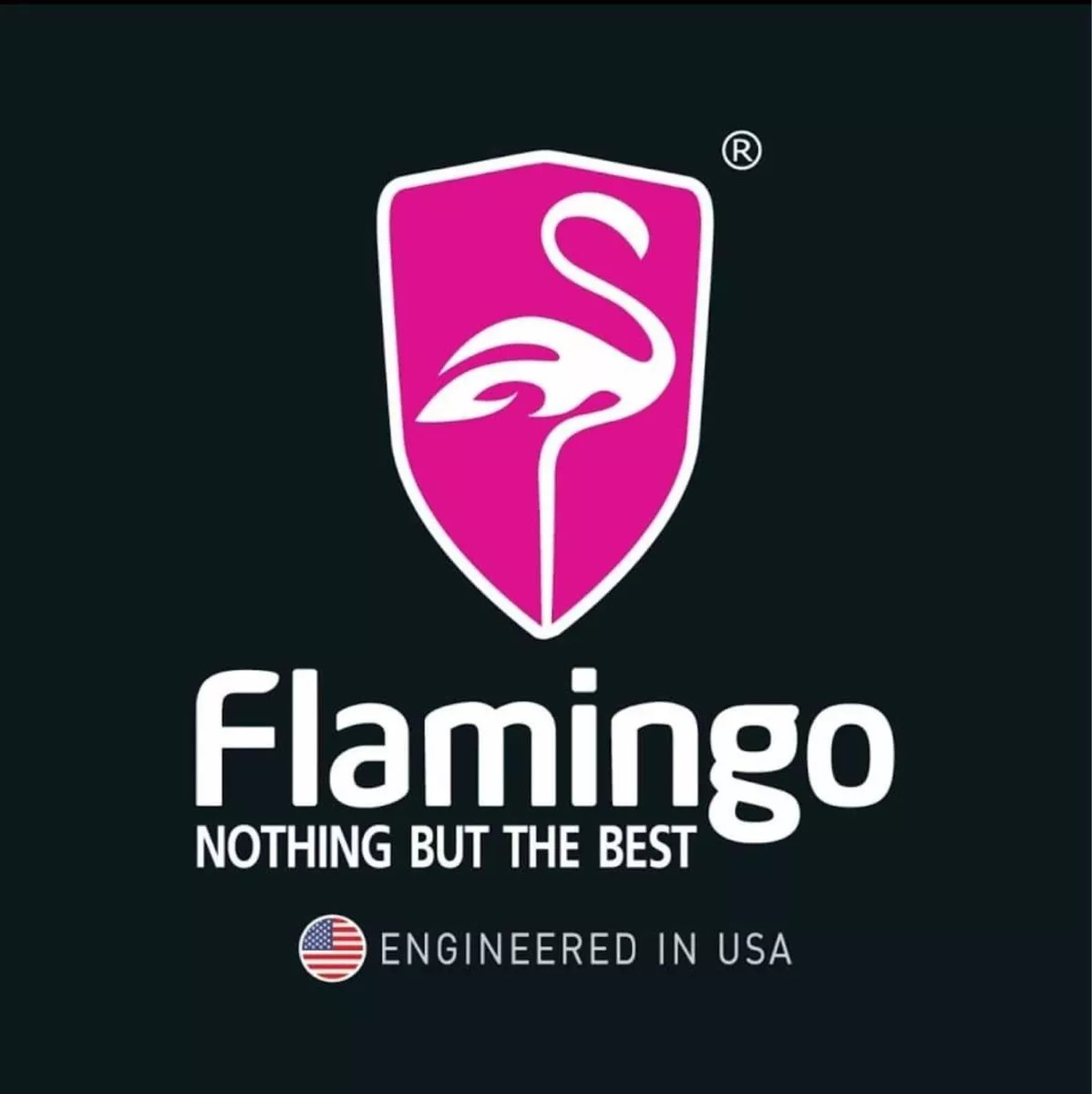 LIMPIADOR DE BUJIAS 450 ML FALMINGOCHILE - 4